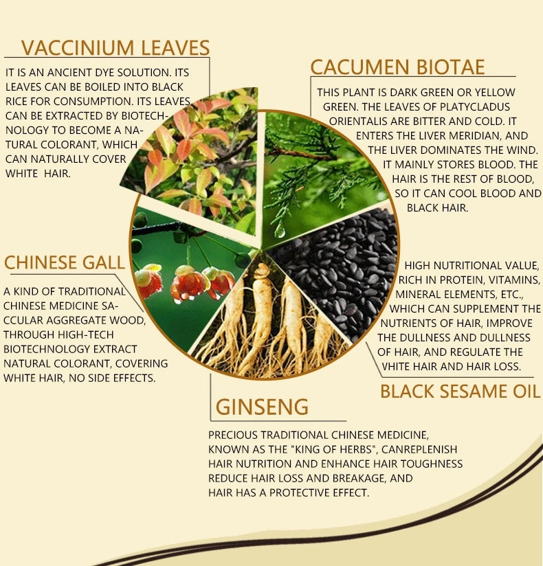 Shampoo de tintura de cabelo com ingredientes naturais para cuidados capilares naturais